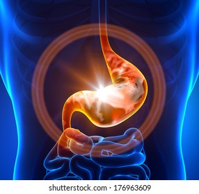 Stomach Pain - Anatomy Concept