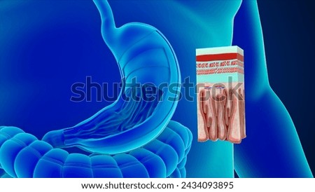 Stomach wall cross section 3d illustration Stock photo © 