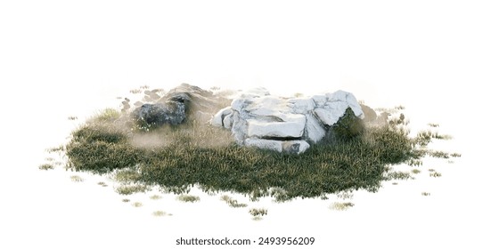 Stone and Grass 3D Model Isolated on transp Background