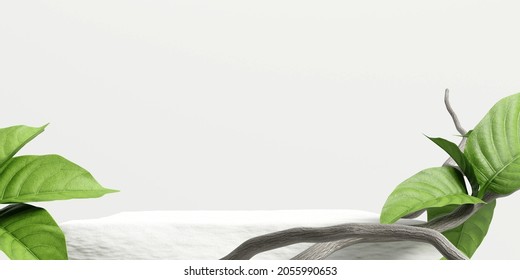 Stone product display podium with nature leaves and branch on white background. 3D rendering