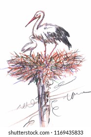 Stork with its baby in the nest hand drawing illustration
