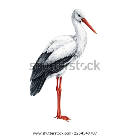 Similar – Foto Bild Ausgewachsener Europäischer Weißstorch Fliegend gegen grüne Wälder. Ciconia Ciconia.