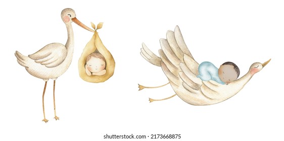 Stork Newborn Baby Watercolor Illustration