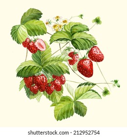 7,280 Watercolor Strawberry Flower Images, Stock Photos & Vectors ...