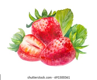 Strawberry Watercolor. Berry.