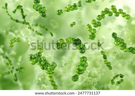 Streptococcus bacteria, pathogen gram-positive cocci chains. Scarlet fever disease, strep throat, rheumatic fever, skin infections. Antibiotic resistance. Healthcare, coccus microbiology, science 3D