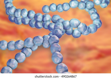 Streptococcus Mutans Bacteria, Gram-positive Cocci Which Cause Dental Caries, 3D Illustration