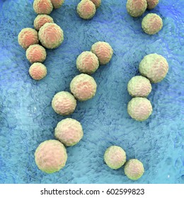 Streptococcus Mutans Bacteria, Gram-positive Cocci Which Cause Dental Caries, 3D Illustration