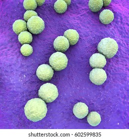 Streptococcus Mutans Bacteria, Gram-positive Cocci Which Cause Dental Caries, 3D Illustration