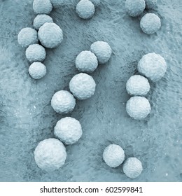 Streptococcus Mutans Bacteria, Gram-positive Cocci Which Cause Dental Caries, 3D Illustration