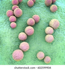 Streptococcus Mutans Bacteria, Gram-positive Cocci Which Cause Dental Caries, 3D Illustration