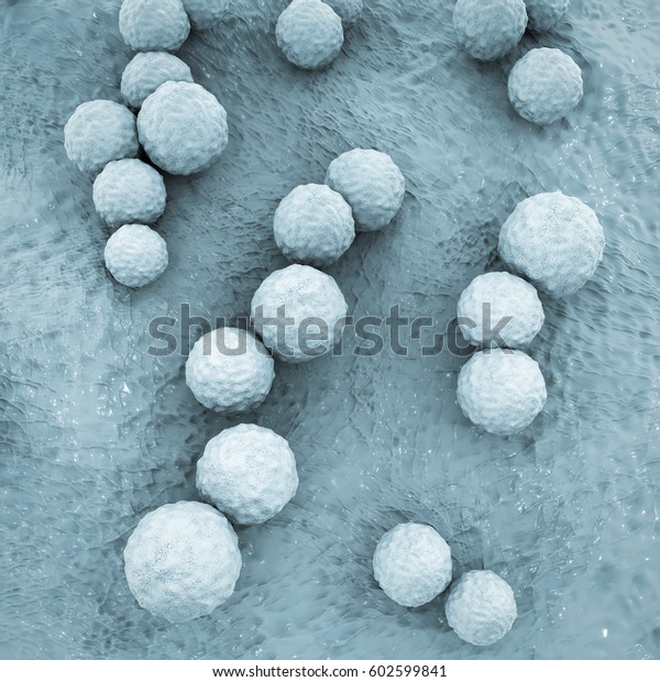 Streptococcus mutans bacteria, gram-positive\
cocci which cause dental caries, 3D\
illustration