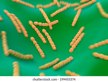 Streptococcus Pneumoniae, Bacteria Artwork