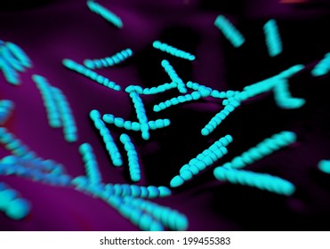 Streptococcus Pneumoniae, Bacteria Artwork