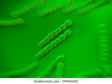 Streptococcus Pneumoniae Bacteria Artwork Stock Illustration 199455410 ...