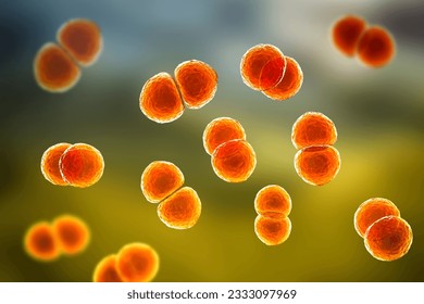 Streptococcus pneumoniae bacteria, also known as pneumococcus, Gram-positive bacteria responsible for causing various respiratory tract infections, including pneumonia, 3D illustration.