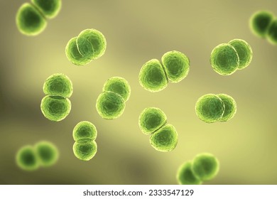 Bacterias Streptococcus pneumoniae, también conocidas como neumococo, bacterias grampositivas responsables de varias infecciones del tracto respiratorio, incluyendo neumonía, ilustración 3D.