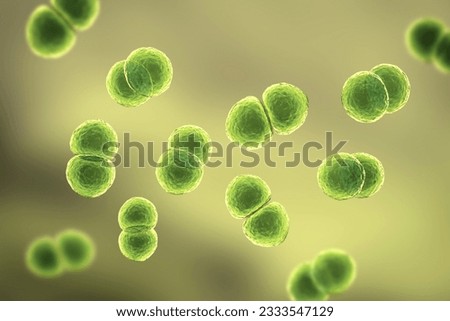 Streptococcus pneumoniae bacteria, also known as pneumococcus, Gram-positive bacteria responsible for causing various respiratory tract infections, including pneumonia, 3D illustration.