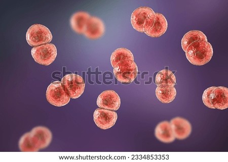 Streptococcus pneumoniae bacteria, also known as pneumococcus, Gram-positive bacteria responsible for causing various respiratory tract infections, including pneumonia, 3D illustration.