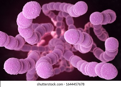 Streptococcus pneumoniae, or pneumococcus, is Gram-positive coccus shaped pathogenic bacteria which causes many types of pneumococcal infections in addition to pneumonia. 3D illustration