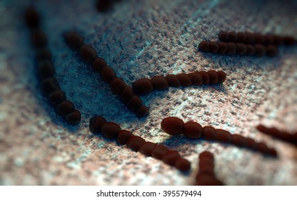 Streptococcus Pneumoniae Pneumococcus Grampositive Coccus Shaped Stock ...