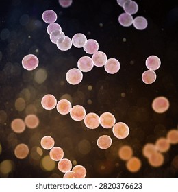 Streptococcus pyogenes bacterium, 3D illustration animation showing spherical Gram-positive cocci arranged in chains, representing characteristic group A streptococcal morphology.
