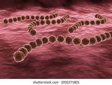 Streptococcus Pyogenes Highly Infectious Pathogenic Bacterium Stock ...