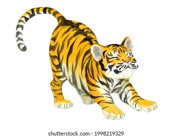 A Stretching Baby Tiger Painted In Watercolor