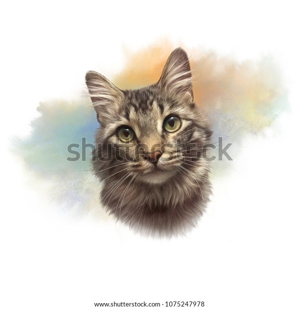 Illustration De Stock De Un Chat Rayé Portrait Réaliste à