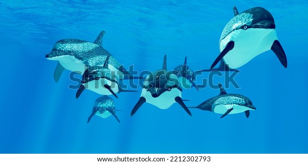 Striped\
Dolphin Family 3d illustration - Striped dolphins live in a group\
called pods and forage the ocean for fish\
prey.