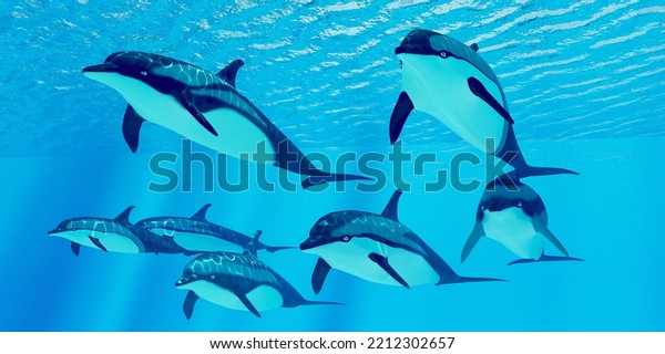 Striped Dolphins\
3d illustration - Striped dolphins live in a group called pods and\
forage the ocean for fish\
prey.
