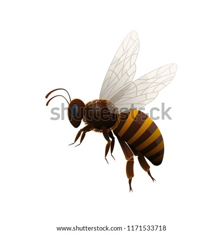 Similar – Image, Stock Photo honeybee Nature Animal