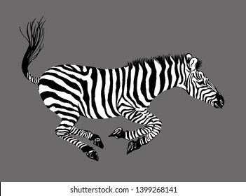 636 Running zebra silhouette Images, Stock Photos & Vectors | Shutterstock