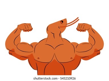 Strong Athlete Shrimp. Fitness Marine Animal Athlete With Huge Muscles. Bodybuilder Plankton. Sports Team Mascot
