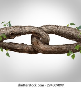 Strong Chain Concept Connected As Two Different Tree Trunks Tied And Linked Together As An Unbreakable Chain As A Trust And Faith Metaphor For Trusted Partner For Support And Strength.