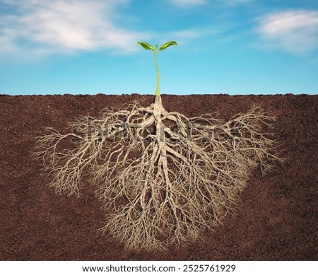 Strong root in soil, small green plant with long root. This is a 3d render illustration