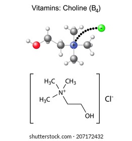 salt structure skeletal table Stock Vectors Images, & Shutterstock Photos Choline