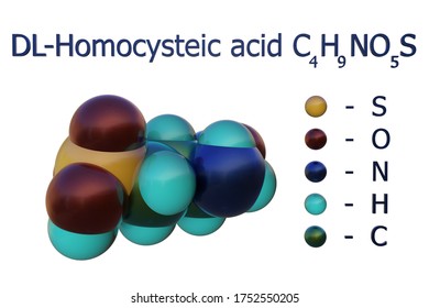 Structural Chemical Formula And Molecular Model Of DL-homocysteic Acid, A Sulfur-containing Glutamic Acid Analog And A Potent NMDA Receptor Antagonist. 3d Illustration