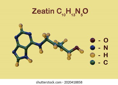 Structural Chemical Formula And Molecular Model Of Zeatin, A Coconut Milk-derived Plant Hormone Cytokinin, Suitable For Plant Cell Culture. Scientific Background. 3d Illustration