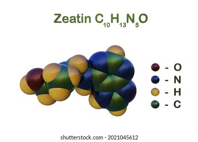 Structural Chemical Formula And Space-filling Molecular Model Of Zeatin, A Coconut Milk-derived Plant Hormone Cytokinin That Is Suitable For Plant Cell Culture. Scientific Background. 3d Illustration