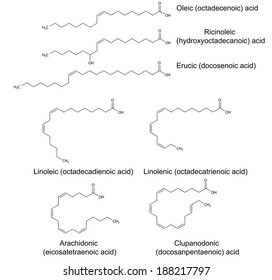 2,973 Fatty acids unsaturated Images, Stock Photos & Vectors | Shutterstock