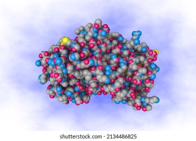 Structural Mechanism Of Hormone Release In Thyroxine Binding Globulin. Space-filling Molecular Model. Rendering Based On Protein Data Bank Entry 4yia. Scientific Background. 3d Illustration