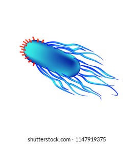 Structure Bacteria Salmonella Infographics Illustration On Stock ...