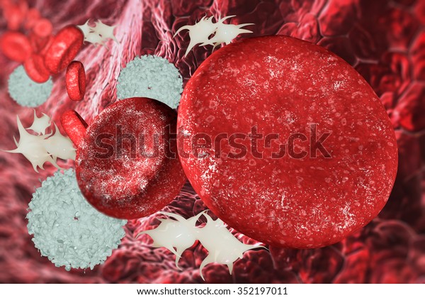 structure of the\
blood cells in the blood\
vessel