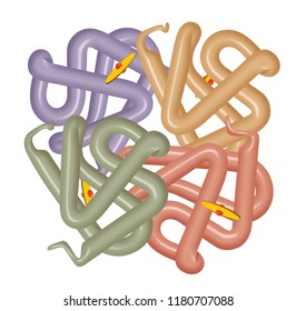 Structure Of Human Hemoglobin Molecule