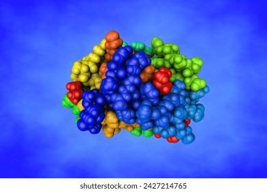 Structure of human sonic hedgehog in complex with zinc and magnesium. Space-filling molecular model based on protein data bank entry 6pjv. Rainbow coloring from N to C. 3d illustration