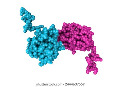Estructura del dominio N-terminal del erizo sónico humano. Modelo molecular de relleno espacial con cadenas proteicas de diferentes colores basado en la entrada 3m1n del banco de datos de proteínas. ilustración 3d