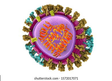 Structure Of Influenza Virus, 3D Illustration. Hemagglutinin Spikes (dark Yellow), Neuraminidase Spikes (blue), M2 Protein (yellow), Capsid Made Of M1 Protein (purple) And 8 Fragments Of RNA (orange)