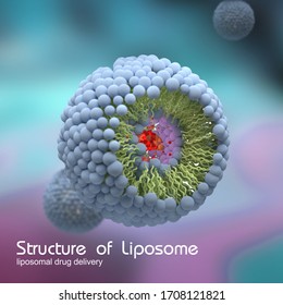 Structure of liposome, 3d render illustration