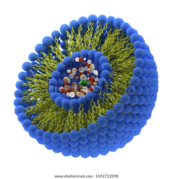 Structure Liposome 3d Render Illustration Stock Illustration 1692722098 ...